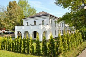 Гостиница Domus Hotel  Бирштонас